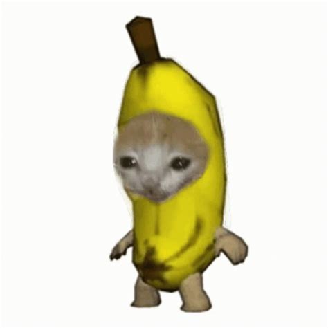 banana cat - biomassa de banana